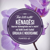 Ajete dhe Hadithe (63)