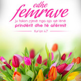 Ajete dhe Hadithe (67)