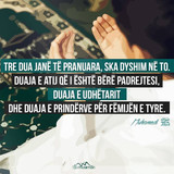 Ajete dhe Hadithe (86)