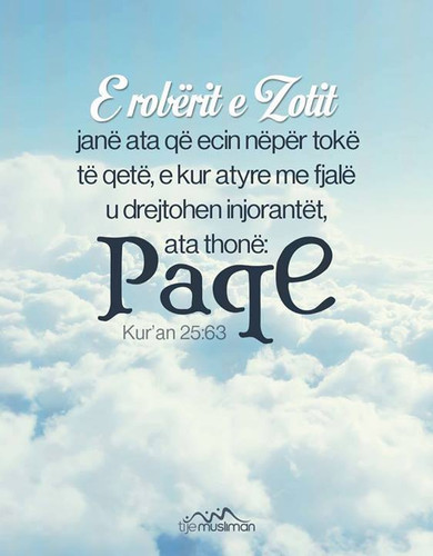 Ajete dhe Hadithe (70).jpg