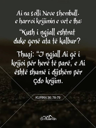 Ajete dhe Hadithe (94).jpg