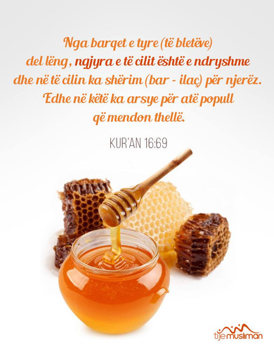 Ajete dhe Hadithe (88).jpg