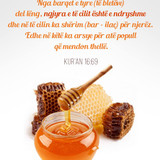 Ajete dhe Hadithe (88)