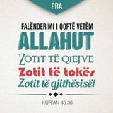 Ajete dhe Hadithe (81)