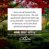 Ajete dhe Hadithe (82)