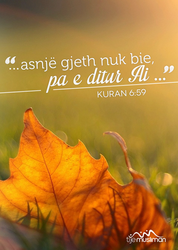 Ajete dhe Hadithe (102).png