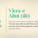 Vlera e shokëve të Profetit Muhamed (5)