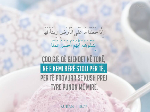 Ajete dhe Hadithe (302).jpg
