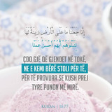 Ajete dhe Hadithe (302)