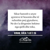 Ajete dhe Hadithe (317)