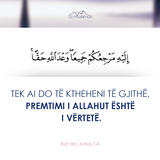 Ajete dhe Hadithe (299)