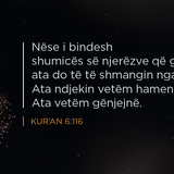 Ajete dhe Hadithe (312)