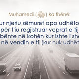 Ajete dhe Hadithe (301)