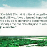 Ajete dhe Hadithe (315)