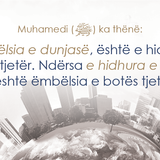 Ajete dhe Hadithe (325)