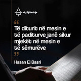 Foto12 Te diturit ne mesin e te paditurve