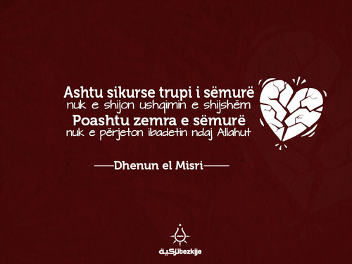 Foto25 Ashtu sikurse trupi i semure.jpg
