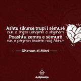 Foto25 Ashtu sikurse trupi i semure