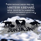 Foto18 Si te mbetesh krenare