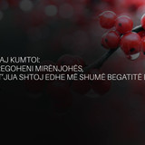 Ajete dhe Hadithe (476)