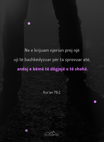 Ajete dhe Hadithe (477).png