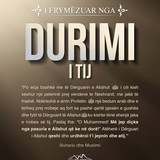 I frymëzuar nga ... (10)