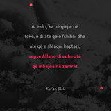 Ajete dhe Hadithe (471)