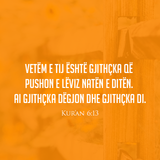 Ajete dhe Hadithe (344)