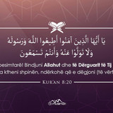 Ajete dhe Hadithe (337)