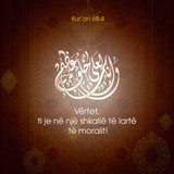 Ajete dhe Hadithe (331)