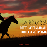 Ajete dhe Hadithe (330)