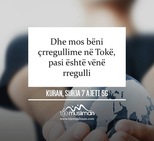 Ajete dhe Hadithe (358).jpg