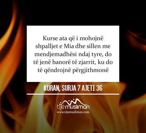 Ajete dhe Hadithe (352).jpg