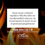 Ajete dhe Hadithe (352)
