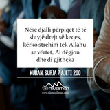 Ajete dhe Hadithe (348)