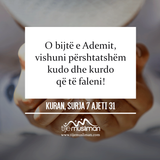 Ajete dhe Hadithe (329)
