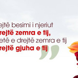 Ajete dhe Hadithe (334)
