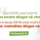 Ajete dhe Hadithe (362)