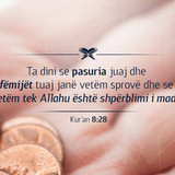Ajete dhe Hadithe (367)