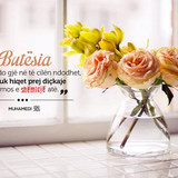Ajete dhe Hadithe (359)
