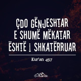Ajete dhe Hadithe (338)