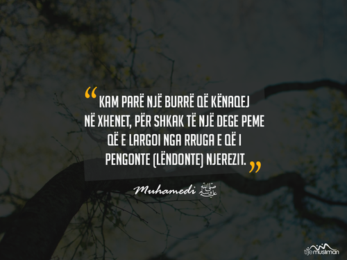 Ajete dhe Hadithe (335).png