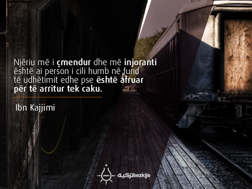 Foto37 Njeriu me i cmendur dhe me injoranti eshte ai person i cili.jpg.png