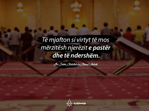 Foto72 Te mjafton si virtyt te mos.jpg