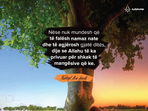 Foto78 Nese nuk mundesh qe te falesh namaz nate dhe te agjerosh.jpg