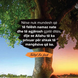 Foto78 Nese nuk mundesh qe te falesh namaz nate dhe te agjerosh