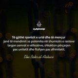 Rezultati i polemikave te shumta