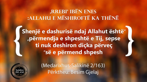 Të Ndryshme (1).jpg