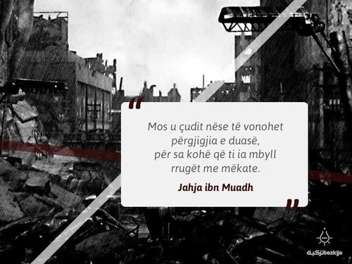 Vonimi i pergjigjes se lutjes.jpg