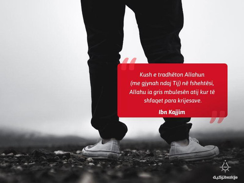 Mekatet ne fshehtesi.jpg